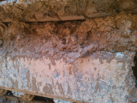 ขายKOMATSU PC 12HT สภาพสวยพร้อมใช้ ติดต่อได้ที่คุณ อ๊อฟ พิจิตร 086-737-9991 ขายKOMATSU PC 12HT สภาพสวยพร้อมใช้ ติดต่อได้ที่คุณ อ๊อฟ พิจิตร 086-737-9991