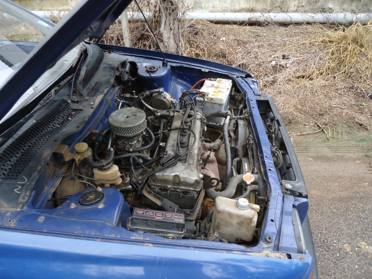 ขาย NISSAN NV 1.6LX ปี 95 M/T เครื่องดีพึ่งทำ คานเดิมๆ รอนกะบะสวย ติดแก๊ส LPG ลงเล่มเรียบร้อย สีดี ไม่ผุ ช่วงล่างพอใช้ได้ ล้อแม็กซ์