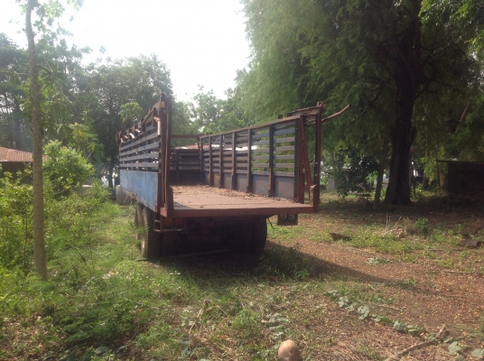 ขายสาลี่บรรทุกอ้อย