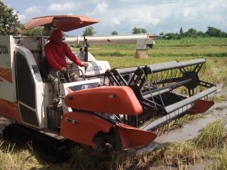 ขายรถเกี่ยวข้าว KUBOTA DC 70 E ทำงานได้ 1307.4 ชม รถสวยมาก เครี่องดี พร้อมใช้งาน ปี 2555 ขายรถเกี่ยวข้าว KUBOTA DC 70 E ทำงานได้ 1307.4 ชม รถสวยมาก เครี่องดี พร้อมใช้งาน ปี 2555