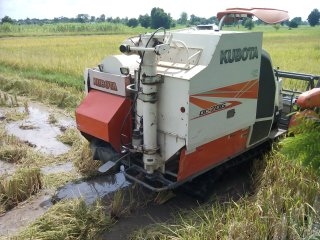 ขายรถเกี่ยวข้าว KUBOTA DC 70 E ทำงานได้ 1307.4 ชม รถสวยมาก เครี่องดี พร้อมใช้งาน ปี 2555 ขายรถเกี่ยวข้าว KUBOTA DC 70 E ทำงานได้ 1307.4 ชม รถสวยมาก เครี่องดี พร้อมใช้งาน ปี 2555