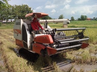 ขายรถเกี่ยวข้าว KUBOTA DC 70 E ทำงานได้ 1307.4 ชม รถสวยมาก เครี่องดี พร้อมใช้งาน ปี 2555 ขายรถเกี่ยวข้าว KUBOTA DC 70 E ทำงานได้ 1307.4 ชม รถสวยมาก เครี่องดี พร้อมใช้งาน ปี 2555