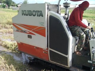 ขายรถเกี่ยวข้าว KUBOTA DC 70 E ทำงานได้ 1307.4 ชม รถสวยมาก เครี่องดี พร้อมใช้งาน ปี 2555 ขายรถเกี่ยวข้าว KUBOTA DC 70 E ทำงานได้ 1307.4 ชม รถสวยมาก เครี่องดี พร้อมใช้งาน ปี 2555