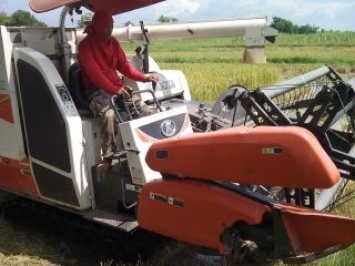 ขายรถเกี่ยวข้าว KUBOTA DC 70 E ทำงานได้ 1307.4 ชม รถสวยมาก เครี่องดี พร้อมใช้งาน ปี 2555 ขายรถเกี่ยวข้าว KUBOTA DC 70 E ทำงานได้ 1307.4 ชม รถสวยมาก เครี่องดี พร้อมใช้งาน ปี 2555