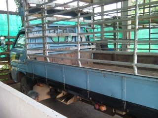 ขาย 6 ล้อ KS เครื่ิอง 110 เครื่องดีพร้อมใช้งาน ขาย 6 ล้อ KS เครื่ิอง 110 เครื่องดีพร้อมใช้งาน