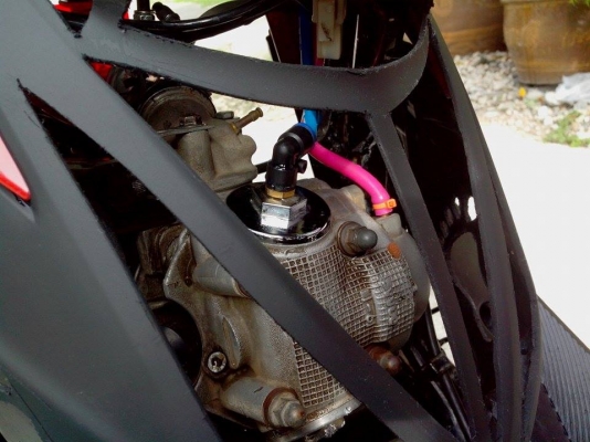 ขายมีโอสองตา