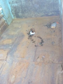 ขาย 10 ดั้มหลงเทอร์โบ 10 สปีด รุ่น FN527MA ปี 45 ขาย 10 ดั้มหลงเทอร์โบ 10 สปีด รุ่น FN527MA ปี 45