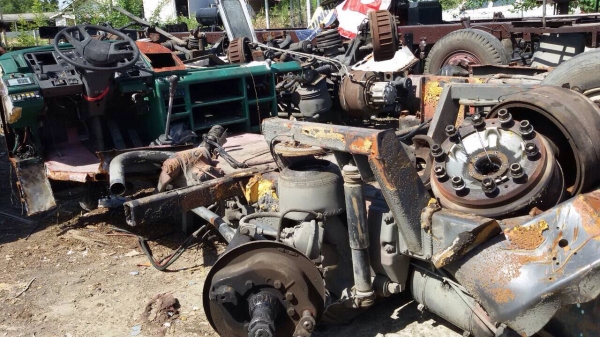 คัทซีรถบัส