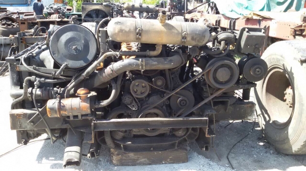 คัทซีรถบัส