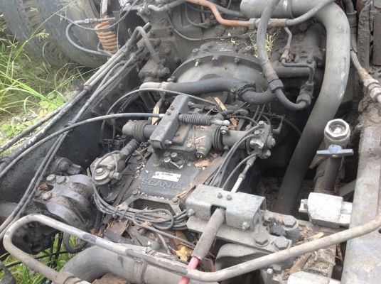 คัทซีรถบัส