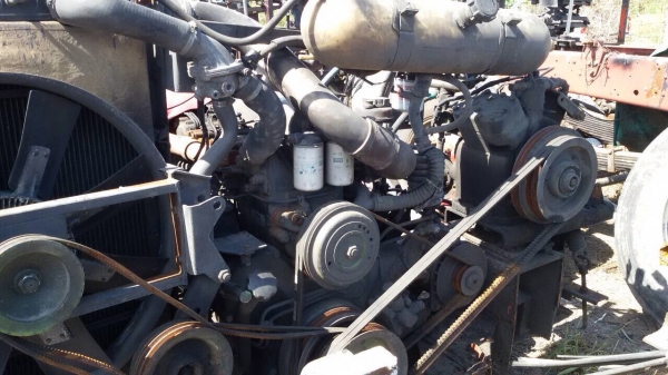 คัทซีรถบัส