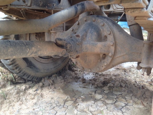 6 ล้อ HINO ดัมพ์คอกเกษตร ยาว5.80 เมตร ขายสดและขายดาว์