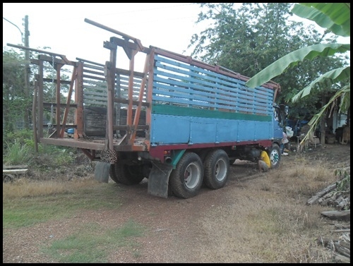 ฮีโน่ KT วางหัวสิงไฮเทค