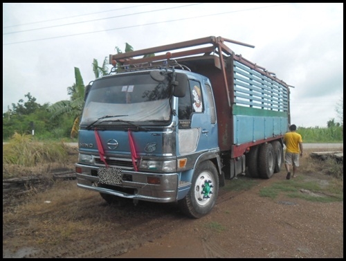 ฮีโน่ KT วางหัวสิงไฮเทค