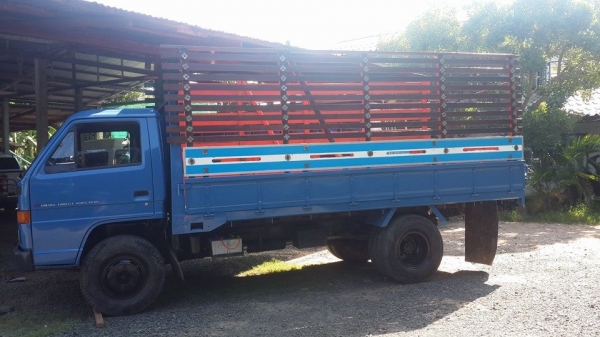 ขาย6ล้อ เสี่ยสั้งลุย 115 NPR59LU5F- M เครื่องดี แชชซีสวย เอกสารทะเบียนเต็ม สภาพพร้อมใช้งาน พร้อมคอกไม้ ขาย6ล้อ เสี่ยสั้งลุย 115 NPR59LU5F- M เครื่องดี แชชซีสวย เอกสารทะเบียนเต็ม สภาพพร้อมใช้งาน พร้อมคอกไม้