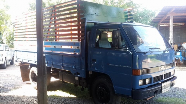 ขาย6ล้อ เสี่ยสั้งลุย 115 NPR59LU5F- M เครื่องดี แชชซีสวย เอกสารทะเบียนเต็ม สภาพพร้อมใช้งาน พร้อมคอกไม้