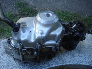 เครื่องฮอนด้า ชาลี 50 C.C สวยๆ เครื่องฮอนด้า ชาลี 50 C.C สวยๆ