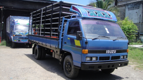 ISUZU NPR เครื่อง115 ยาว5เมตร แอร์ เพาเวอร์ รถสวยพร้อมใช้
