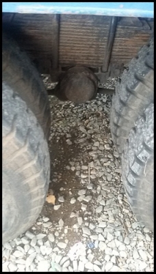 6 ล้อหน้ายาว 6 ล้อหน้ายาว