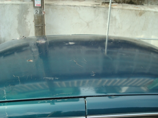 -ขายด่วน45000