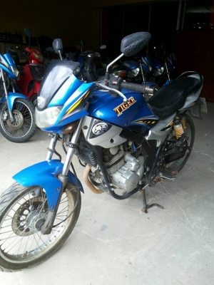 ไทเกอร์ ราคาถูก