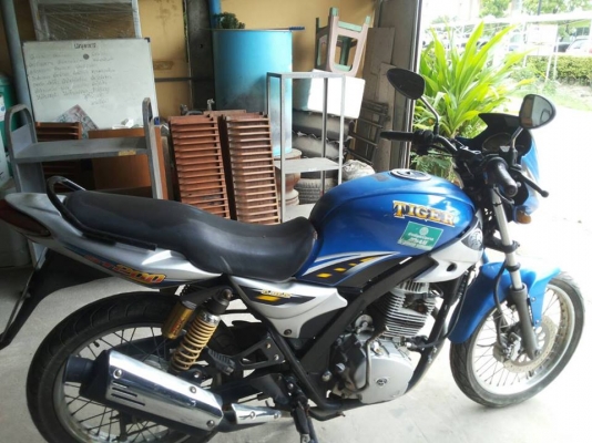 ไทเกอร์ ราคาถูก