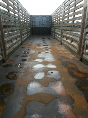 ต้องการขาย..sale!!..300,000