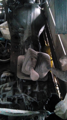 ขายเกียร์รถมิซซู แกรนดิส 4x4