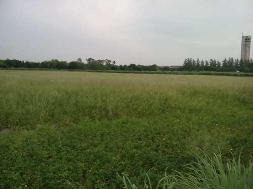 ขายที่ดิน 74 ไร่ ถนนบางนา-ตราด กม.34 ฝั่งขาเข้ากรุงเทพฯ