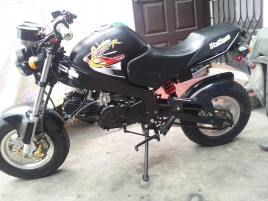 ขาย STALLIONS DAX 125 ปี 2014 รถ 3 เดือน วิ่ง พันโล ทะเบียนแท้พร้อมโอน ส่งได้ทั่วไทย ขาย STALLIONS DAX 125 ปี 2014 รถ 3 เดือน วิ่ง พันโล ทะเบียนแท้พร้อมโอน ส่งได้ทั่วไทย