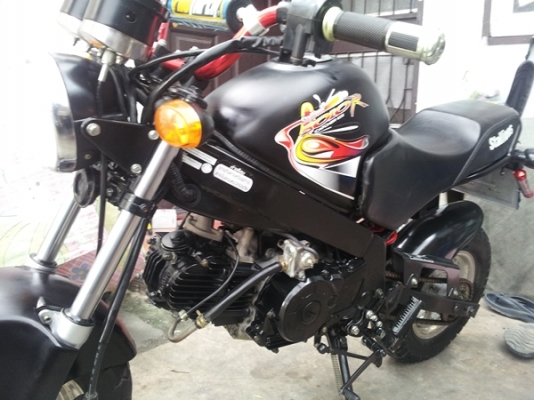 ขาย STALLIONS DAX 125 ปี 2014 รถ 3 เดือน วิ่ง พันโล ทะเบียนแท้พร้อมโอน ส่งได้ทั่วไทย ขาย STALLIONS DAX 125 ปี 2014 รถ 3 เดือน วิ่ง พันโล ทะเบียนแท้พร้อมโอน ส่งได้ทั่วไทย