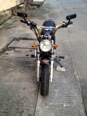 กอลิล่า stallion mini gio