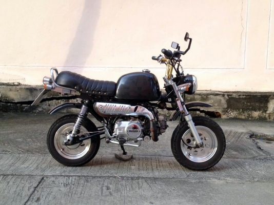 กอลิล่า stallion mini gio