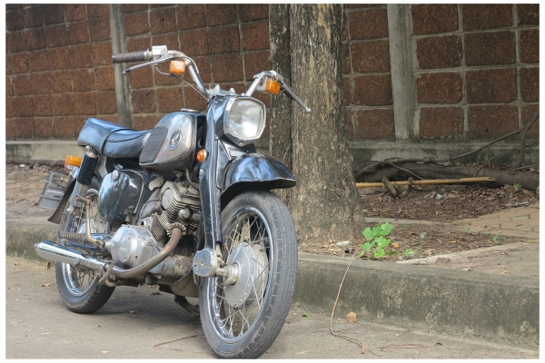 Honda C95 (หมู)   (เอกสารพร้อมโอน)