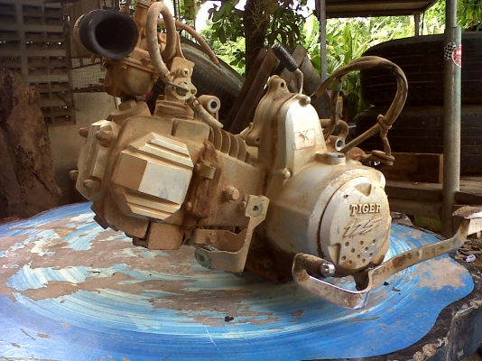 เครื่องไทเกอร์ 125 CC. เครื่องดีเดิม ๆ สภาพ 99\% พร้อมใช้งาน