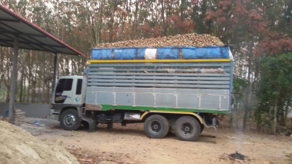 10 ล้อ 3M เครื่องดี ครัชซี่สวย 240