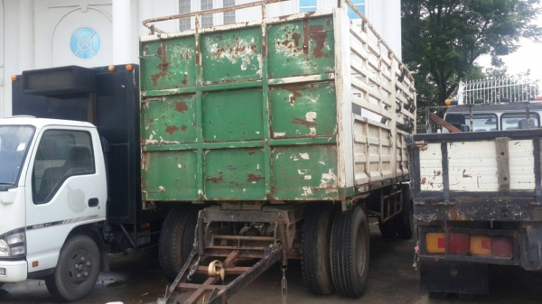 ขายลูกพ่วงไม่ดั้ม ยี้ฮ้อ PANUS สวยๆสภาพพร้อมไช้ราคาถูกๆ ขายลูกพ่วงไม่ดั้ม ยี้ฮ้อ PANUS สวยๆสภาพพร้อมไช้ราคาถูกๆ