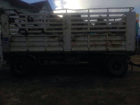 ขายลูกพ่วงไม่ดั้ม ยี้ฮ้อ PANUS สวยๆสภาพพร้อมไช้ราคาถูกๆ ขายลูกพ่วงไม่ดั้ม ยี้ฮ้อ PANUS สวยๆสภาพพร้อมไช้ราคาถูกๆ