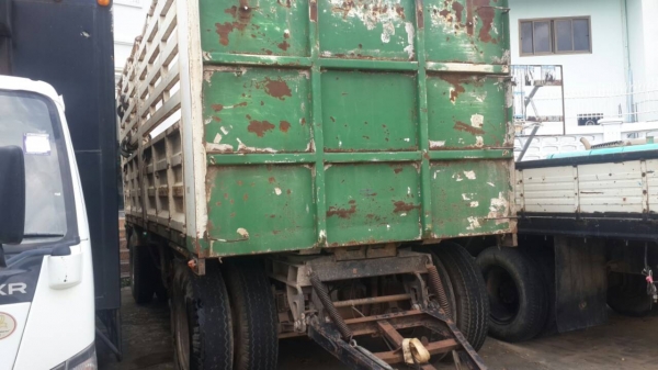 ขายลูกพ่วงไม่ดั้ม ยี้ฮ้อ PANUS สวยๆสภาพพร้อมไช้ราคาถูกๆ