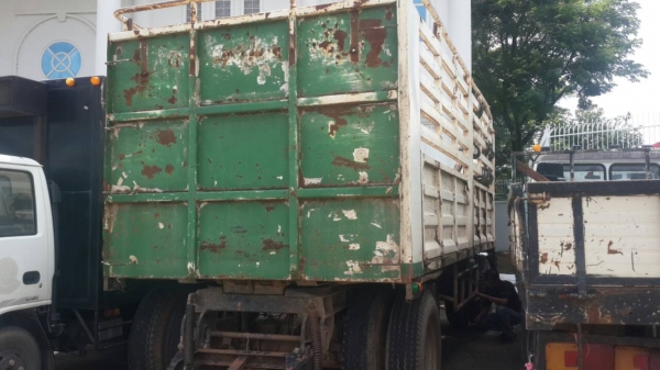 ขายลูกพ่วงไม่ดั้ม ยี้ฮ้อ PANUS สวยๆสภาพพร้อมไช้ราคาถูกๆ ขายลูกพ่วงไม่ดั้ม ยี้ฮ้อ PANUS สวยๆสภาพพร้อมไช้ราคาถูกๆ