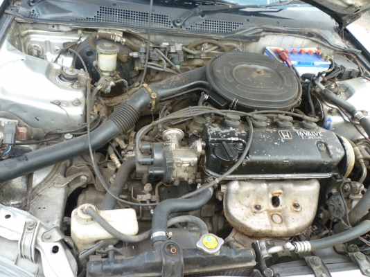 ขายรถยนต์ ฮอนด้า3ประตู ปี94