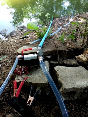 ปั้ม dc12v.สูบน้ำมันได้ สูบน้ำได้แรงเร็ว40L/นาที ของใหม่ เก็บเงินปลายทางได้ ปั้ม dc12v.สูบน้ำมันได้ สูบน้ำได้แรงเร็ว40L/นาที ของใหม่ เก็บเงินปลายทางได้