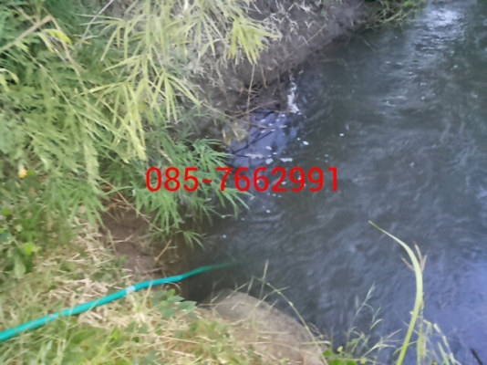 ปั้ม dc12v.สูบน้ำมันได้ สูบน้ำได้แรงเร็ว40L/นาที ของใหม่ เก็บเงินปลายทางได้ ปั้ม dc12v.สูบน้ำมันได้ สูบน้ำได้แรงเร็ว40L/นาที ของใหม่ เก็บเงินปลายทางได้