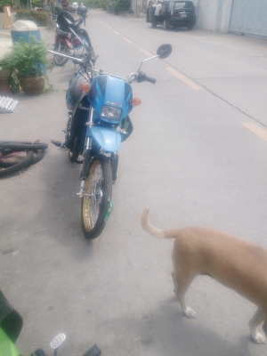 ขาย ksr แต่งสวยๆ