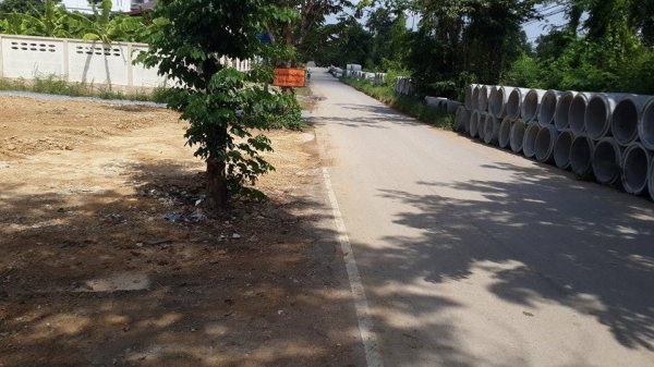 ขายด่วน!!! เนื้อที่ทำเลทอง แถวตลาดน้ำคลองลัดมะยม