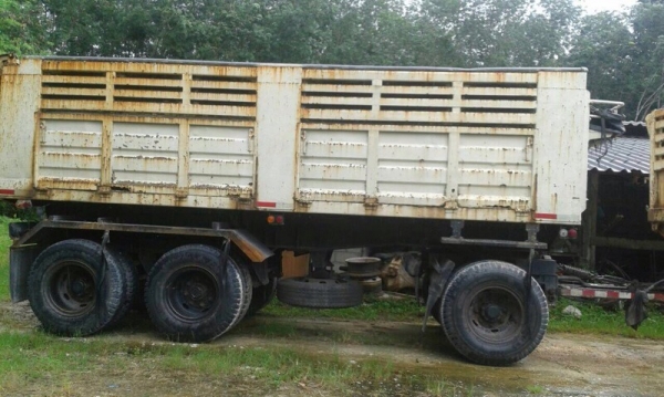 ขายหางพ่วง พนัส 3 เพลายัด. สนใจติดต่อ 081 - 6079515