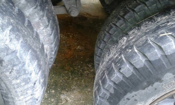 ขายหางพ่วง พนัส 3 เพลายัด. สนใจติดต่อ 081 - 6079515 ขายหางพ่วง พนัส 3 เพลายัด. สนใจติดต่อ 081 - 6079515