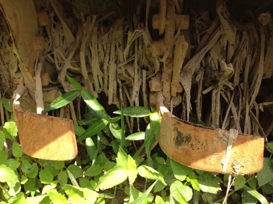 -ขายยันม่า45ปี53อุปกรครบ