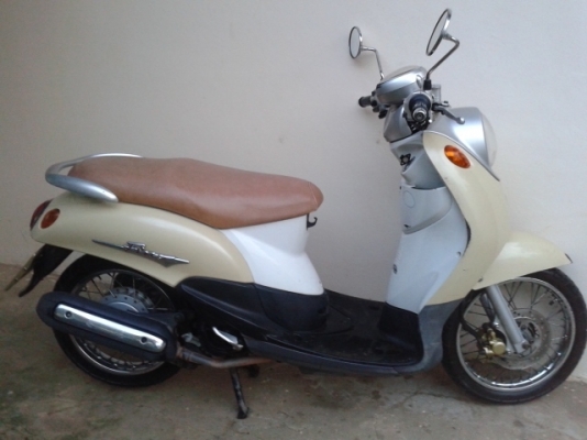 ขายฟีโน่เดิมๆ