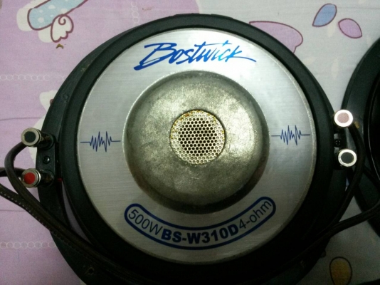 ดอกลำโพง 10 นิ้ว 2 ดอก